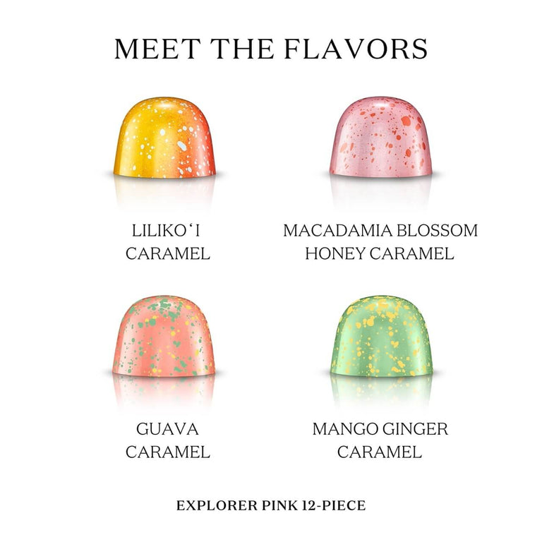 Explorer Pink 12-Piece Bon Bons