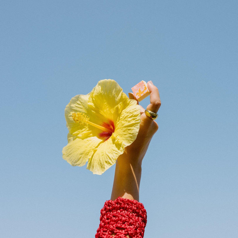 Praline Explorer 12-Piece