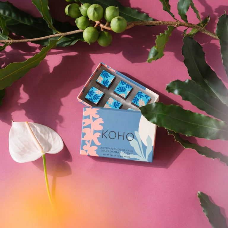 Praline Seeker 6-Piece