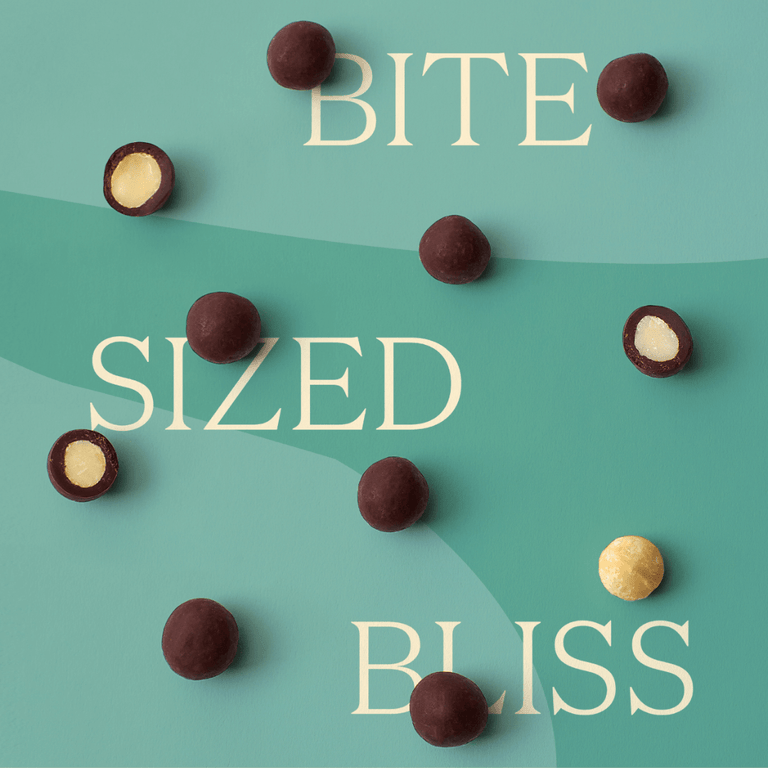 Chocolate Covered Macadamia Nuts - Dark 5.5oz