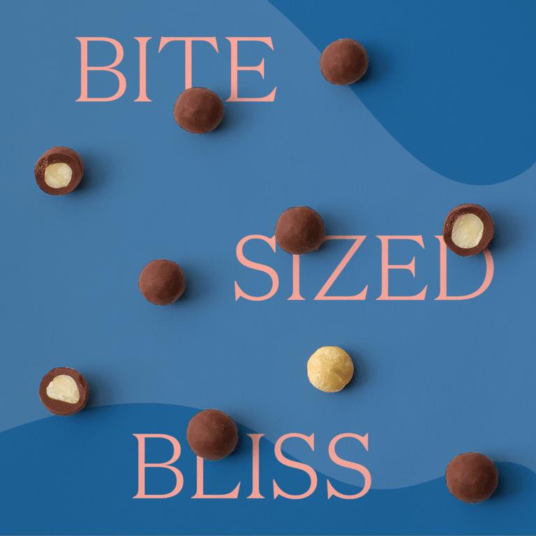 Chocolate Covered Macadamia Nuts - Milk 5.5oz