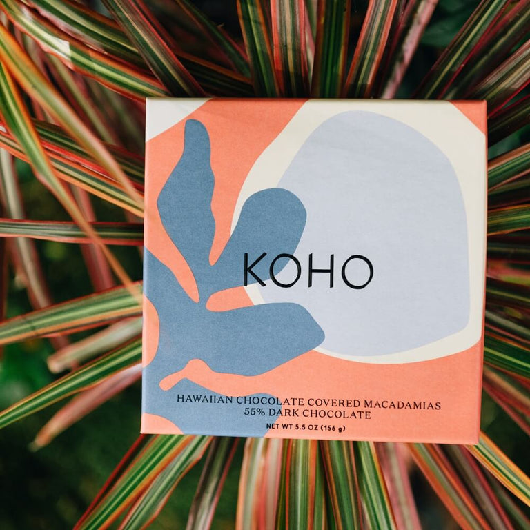 Chocolate Covered Macadamia Nuts - Dark 5.5oz