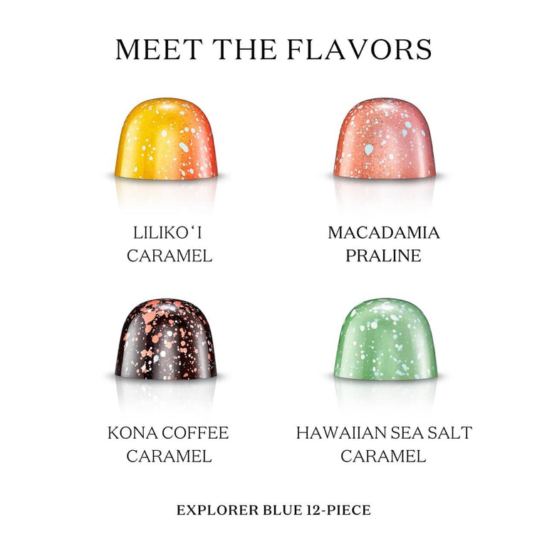 Explorer Blue 12-Piece