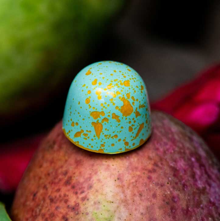 Colorful KOHO Bon Bon on tropical fruit