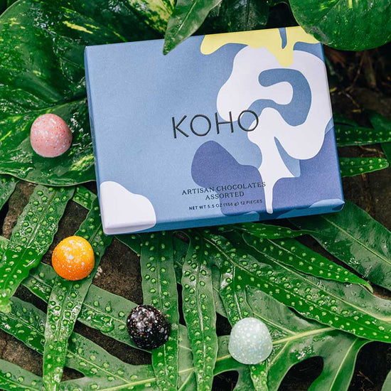 Box of KOHO Explorer Blue 12-piece Bon Bons on tropical leaves