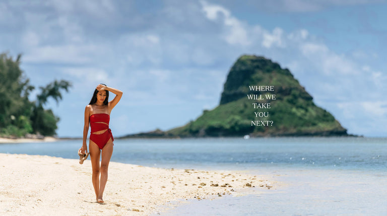 Person walking along the beach in Hawai'i with the text "Where Will We Take You Next?"